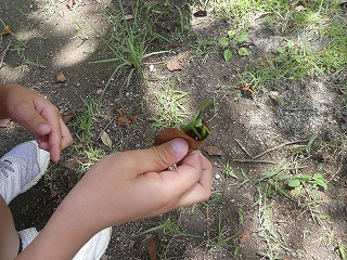 P1180985 P1180985