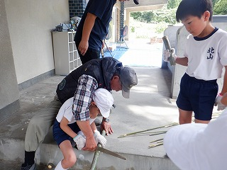 Dscf7047 Dscf7047