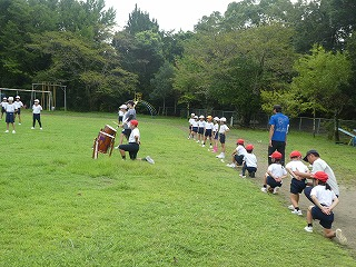 P1190100 P1190100