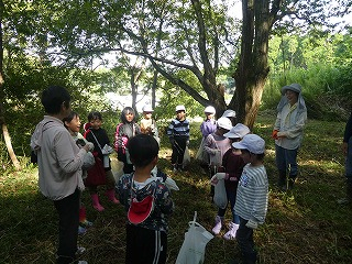 P1190208 P1190208