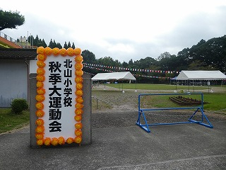 P1190297 P1190297