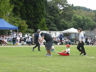 P1190312 P1190312