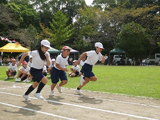 P1190330 P1190330