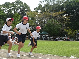 P1190331 P1190331