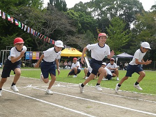 P1190333 P1190333