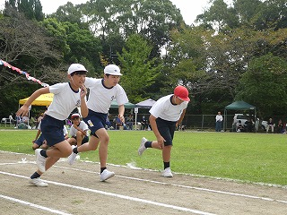 P1190335 P1190335