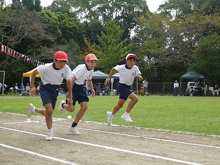 P1190337 P1190337