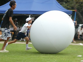 P1190355