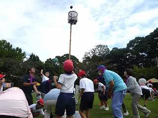 P1190411 P1190411
