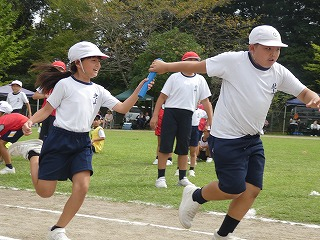 P1190427 P1190427