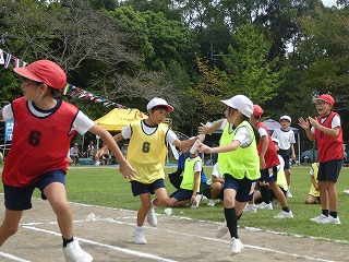 P1190428 P1190428